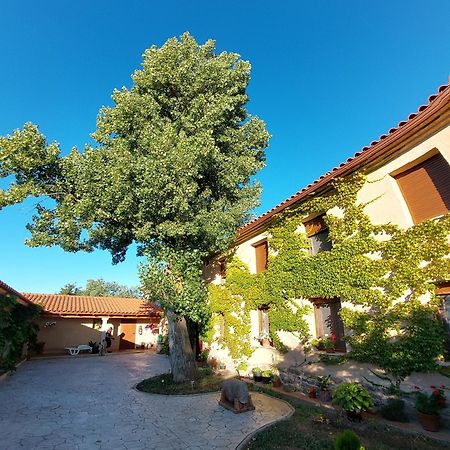 Casa Atenea Guest House Zamora Exterior foto